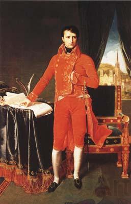 Jean Auguste Dominique Ingres Napoleon Bonaparte in the Uniform of the First Consul (mk04) Norge oil painting art